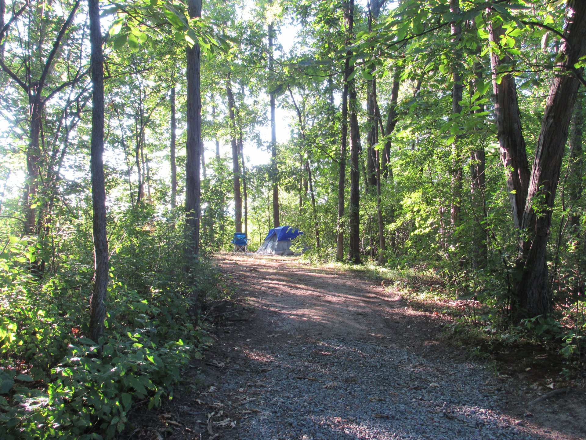 Secluded Tenting Sites