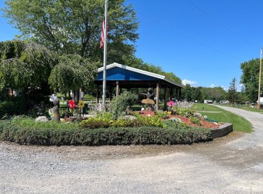 picture of the flower bed