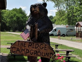 Our bear at The Ridge Campground