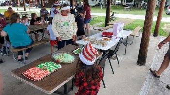 Kid looking at plates of cookies